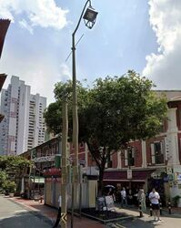 Sago Street (D1), Shop House #557282431